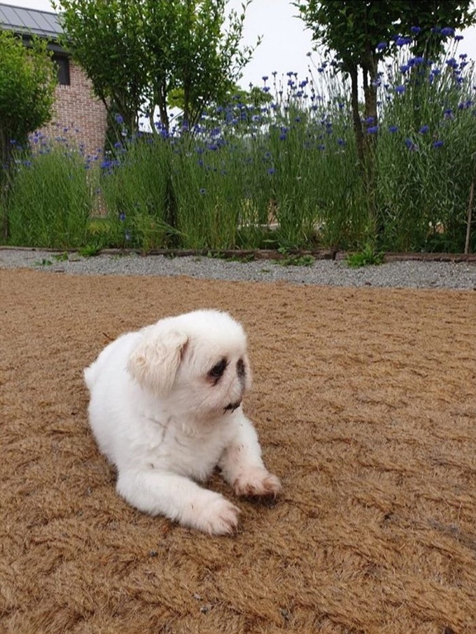 이미지에 대체텍스트 속성이 없습니다; 파일명은 l9d8yk516p00ey2jb579.jpg 입니다.