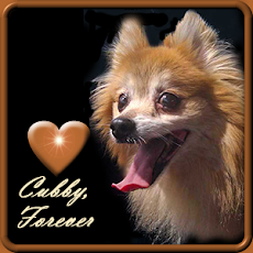 RUN FREE AND HAPPY CUBBY