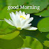 Top10 Good Morning, Evening, Night good Images, Pictures, Greetings for whatsapp and facebook
