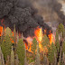 The most dangerous effects of wildfires may not be the flames | News