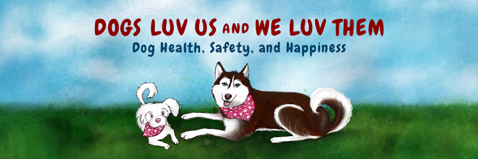 We luvs sum doggy but battery died 5