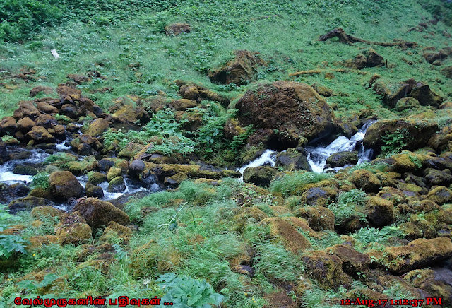 Water Falls Near Crater Lake