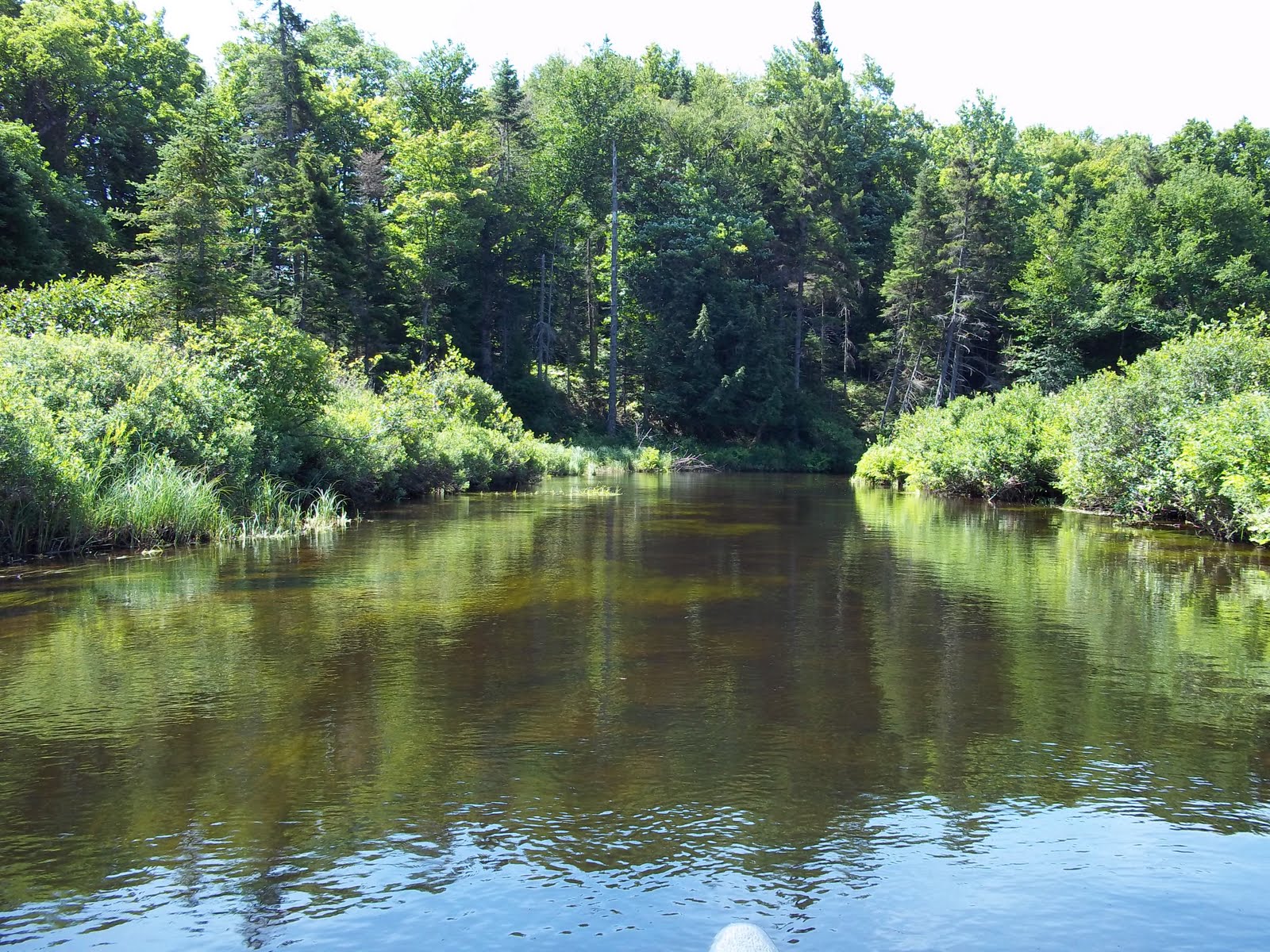 Woodsie News A Trip down the MOOSE RIVER!