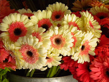 Flowers at The Avila Barn May 2011