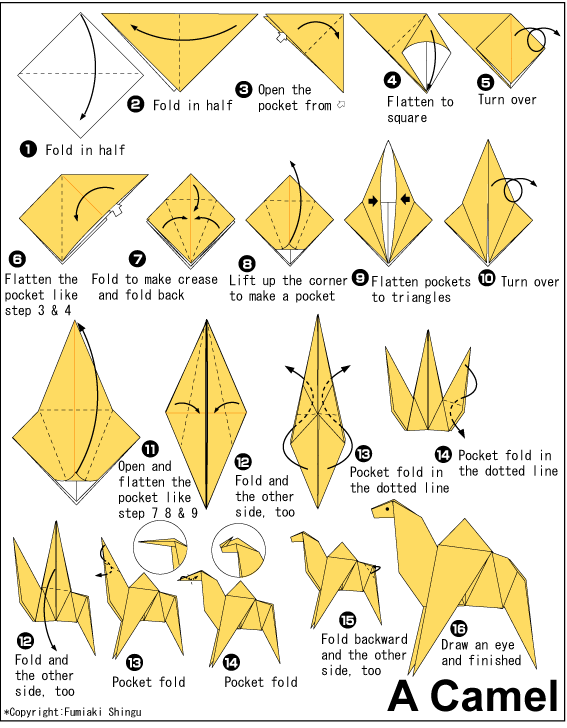 CaCa Imut Cara membuat origami berbentuk Unta