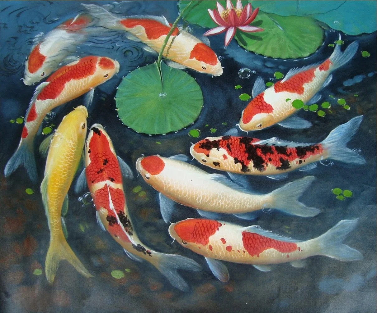 Kumpulan Lukisan Ikan Koi 3d - vichart