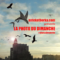 http://anteketborka.com/photographie/photo-du-dimanche-13-annonce-inside/