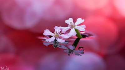 The importance of face to face communication in dementia care.