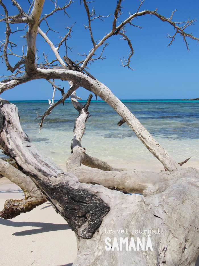Travel Journal: Samaná-La Lilú wanderlust, adventure, exploring, globetrotting, ecotourism, Dominican Republic, beach