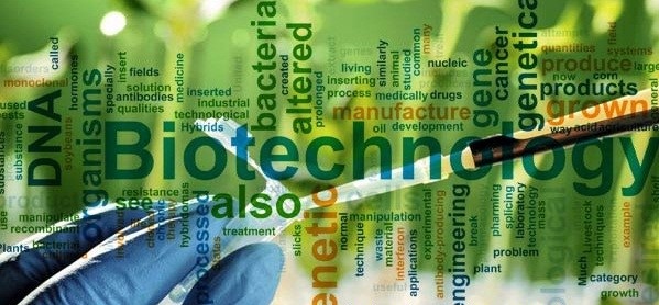 Soal Dan Jawaban Ipa Bioteknologi Kelas 12 Sainskomputer