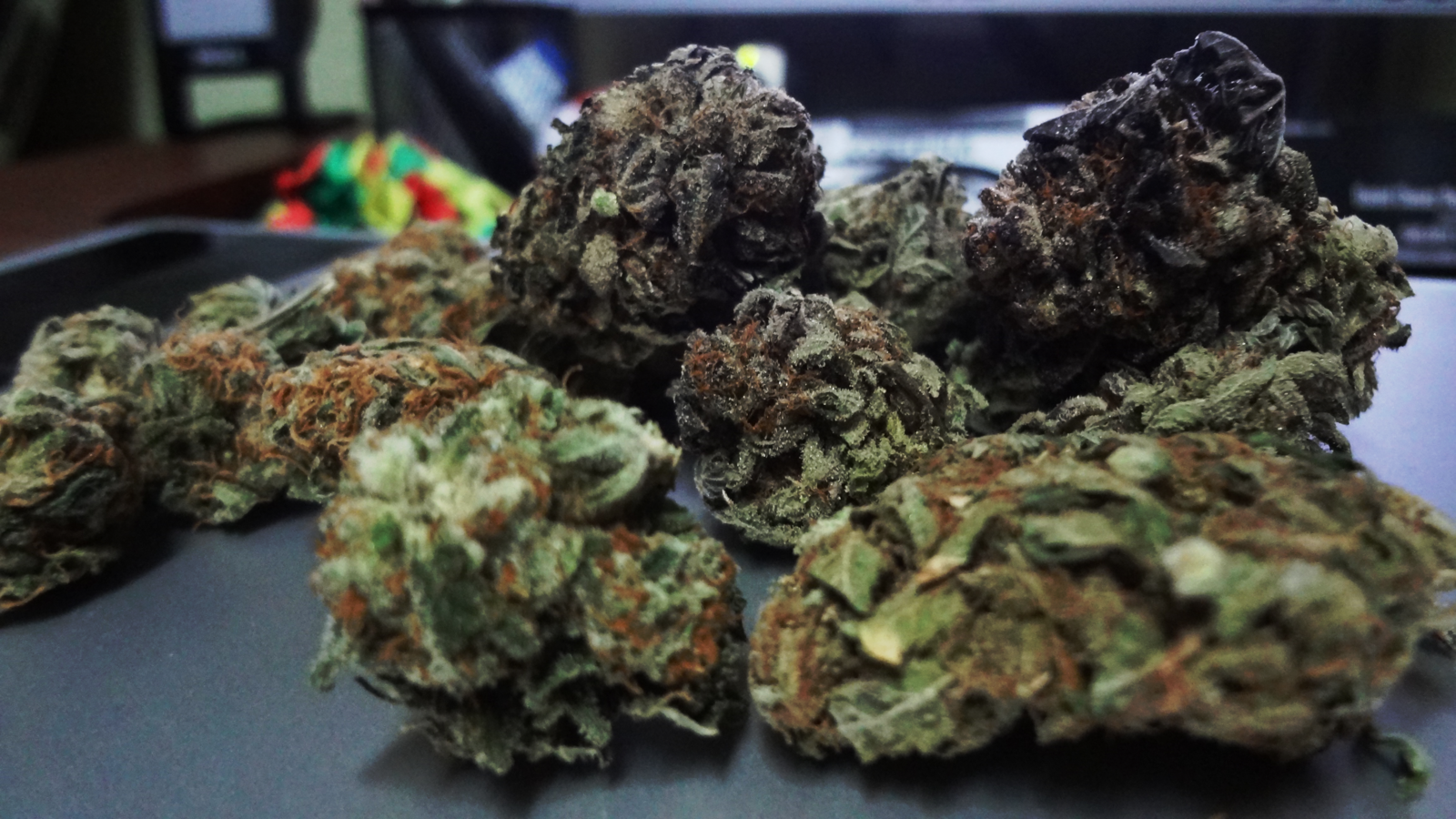 Green Greener Grow Bubblegum Haze Fruity Taste and Cerebral High