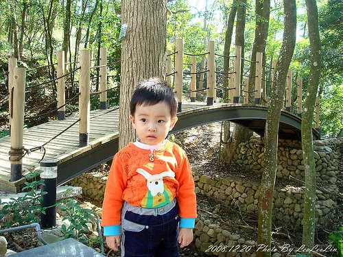桃園楊梅親子住宿度假|東森山林渡假酒店