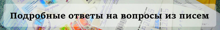 Все ньюансы про справку о доходах для подачи на гражданство