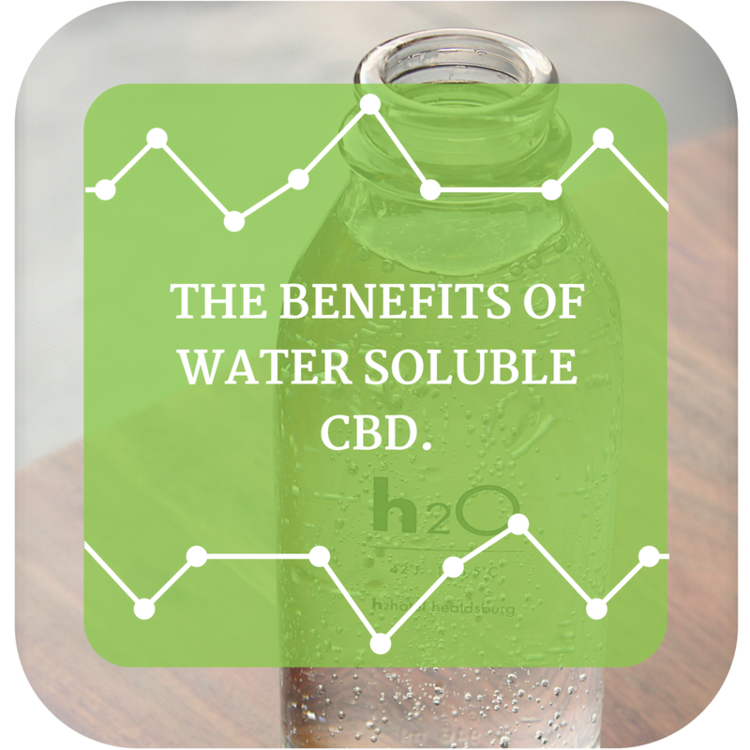 The Benefits of Water Soluble CBD