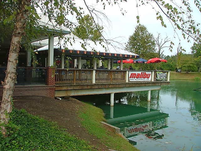 Big Daddy Dave: Wild Wings Café – Knoxville Tennessee