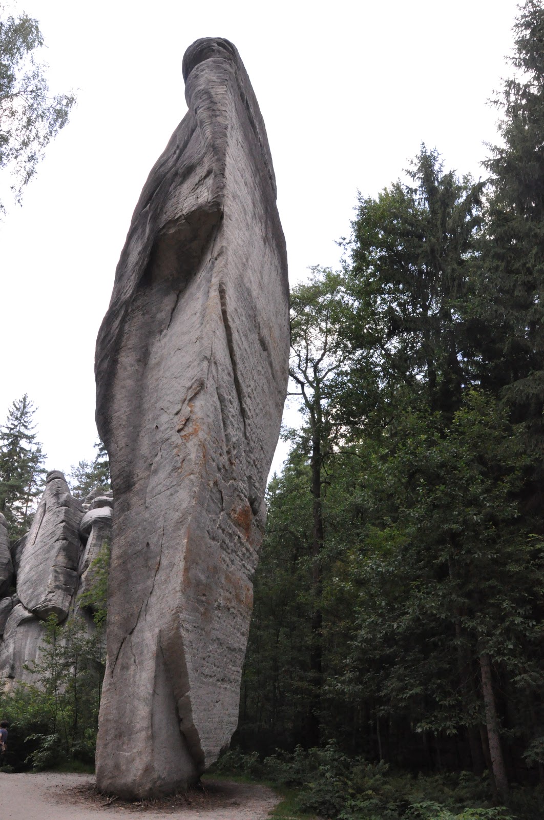 bin im garten: August 2012