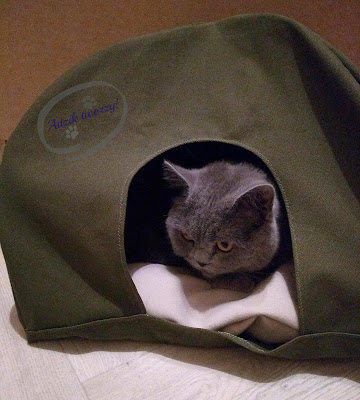 namiot dla kota diy