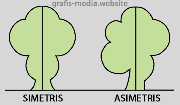  ada baiknya kita mengenal dahulu pengertian kedua hal tersebut secara detail semoga tidak m Pengertian Simetris dan Asimetris Serta Contohnya