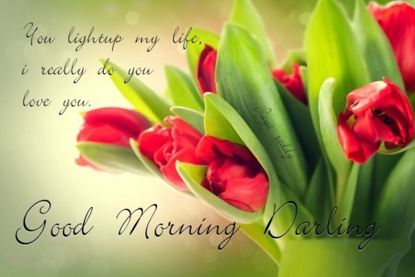 Good Morning Rose Images Good Morning Rose Images