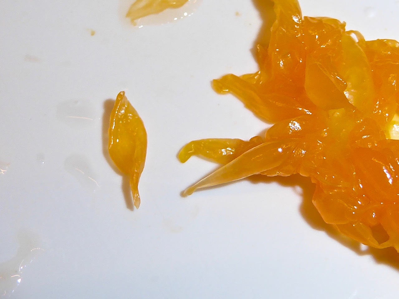 Creepy Dreadful Wonderful Parasites Answer to Case 541