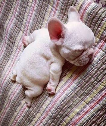 Sleeping is it really healthy ?