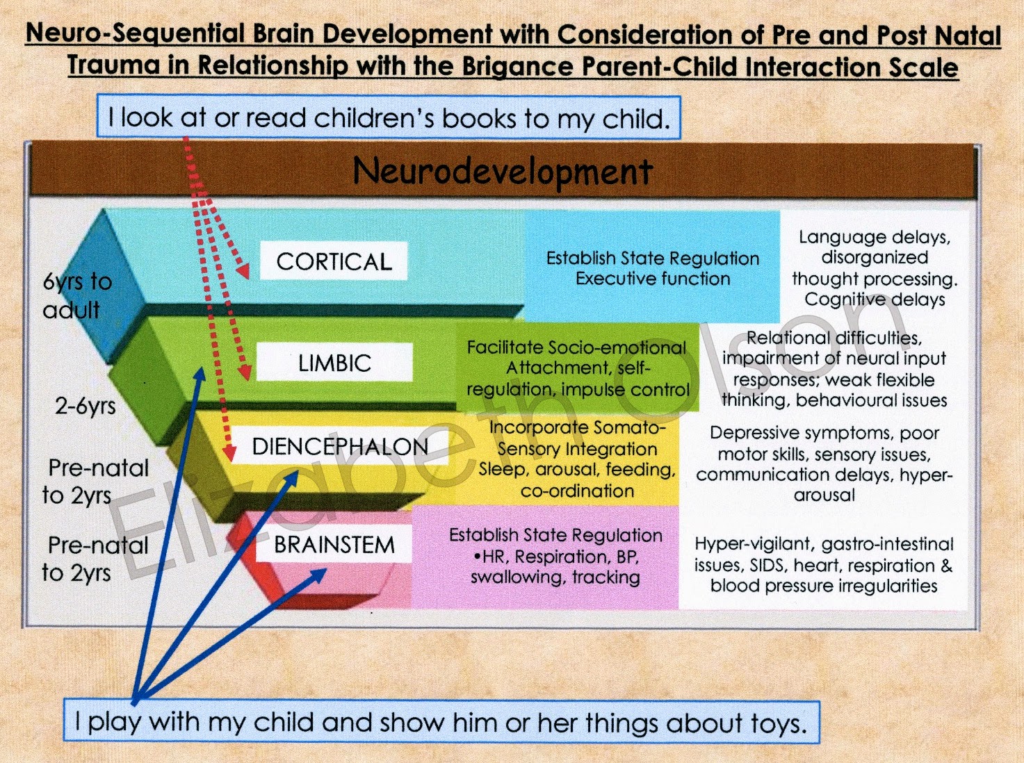 A Mother's Day Potted Plant