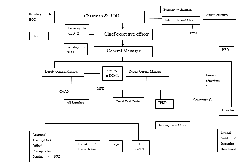 Organizational Hierarchy Chart Of Hbl