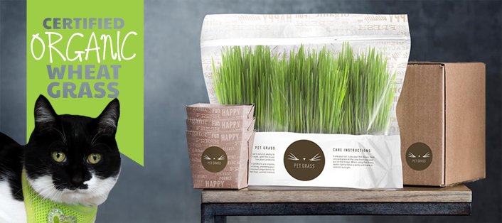 Packaging for Whisker Greens Pet Grass