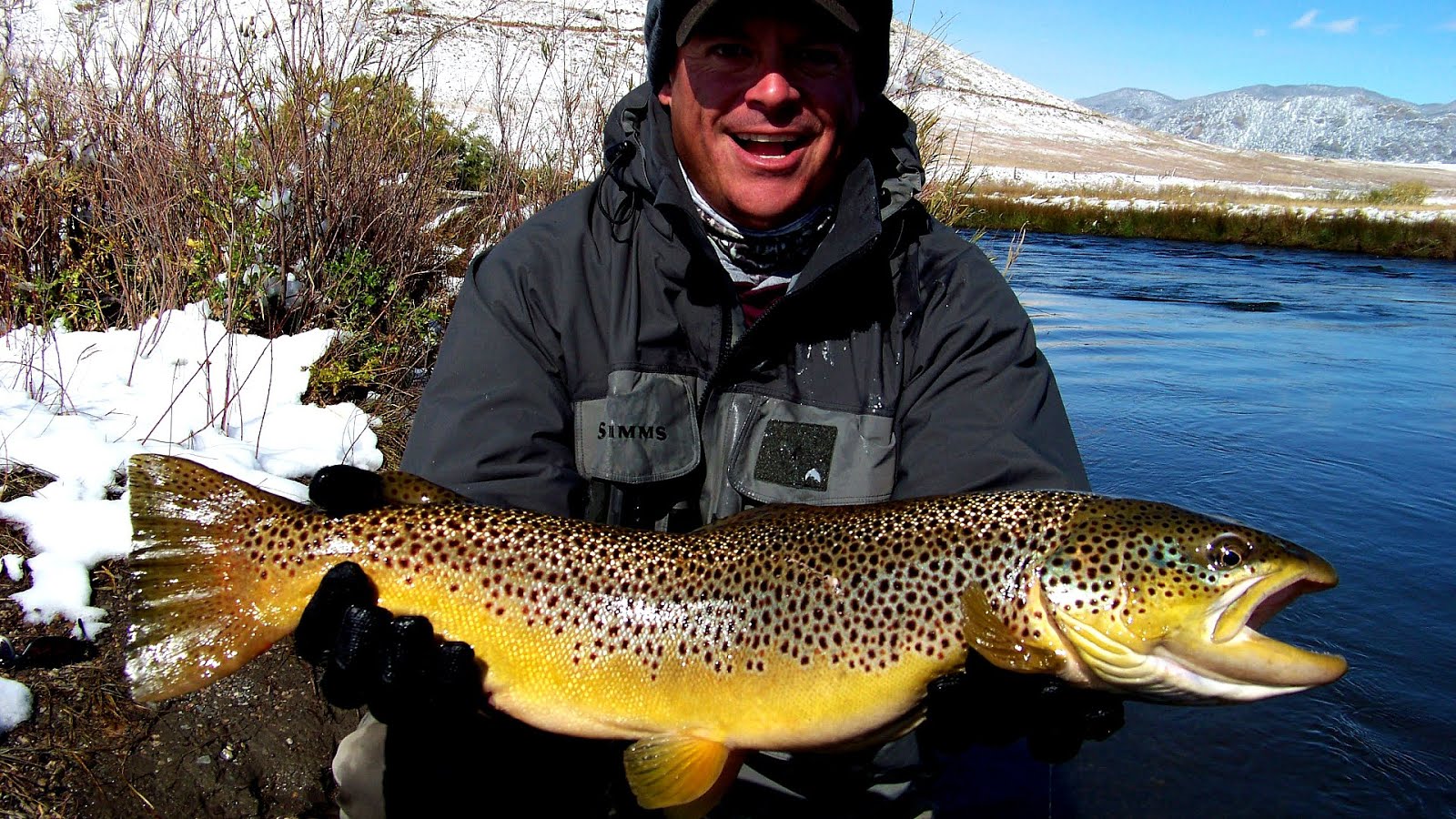 Dream Stream Fishing Report Fish Choices