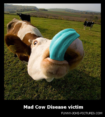 Mad Cow Disease Funny Video