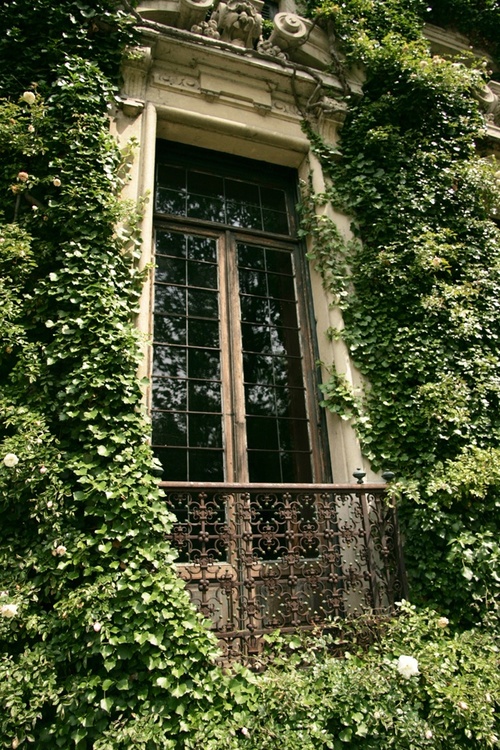 Ivy covered Villa Erba Cernobbio, Como, Italy. - collection no. 09  by linenlavenderlife.com - http://www.pinterest.com/linenlavender/ll-collection-no-09/