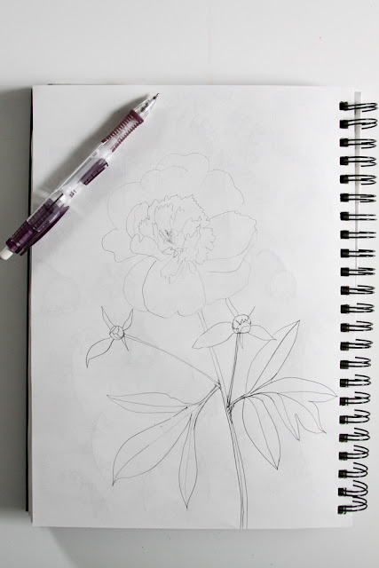 peonies, sketchbook, sketching, Anne Butera, My Giant Strawberry