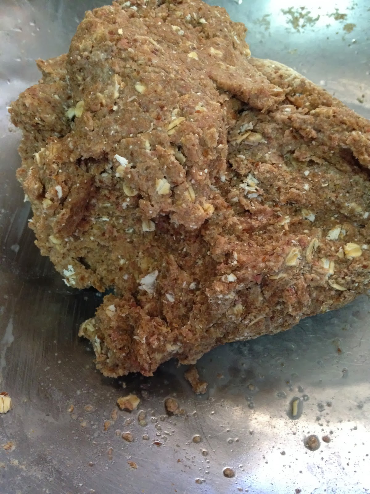 Searching Homemade Dog Kibble