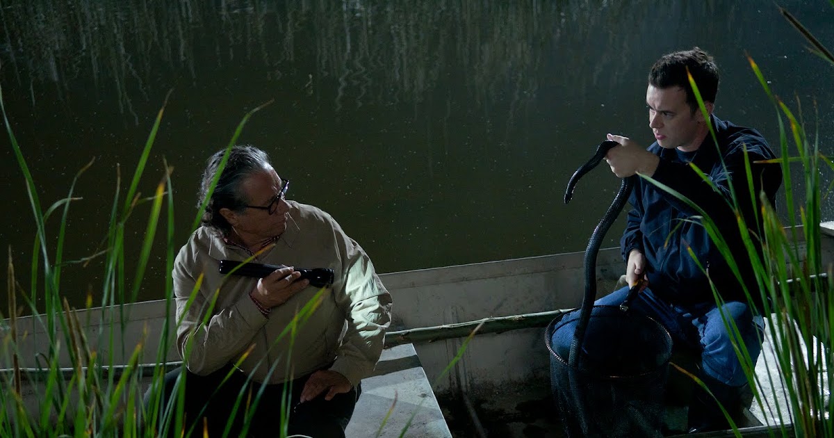 Dexter New Blood Episode 6 Streaming Dexter Daily | Dexter: New Blood: Dexter - Episode 6.01 "Those Kinds of