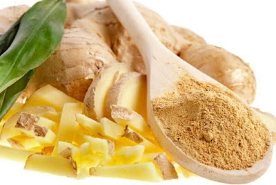 Zingiber officinalis ginger