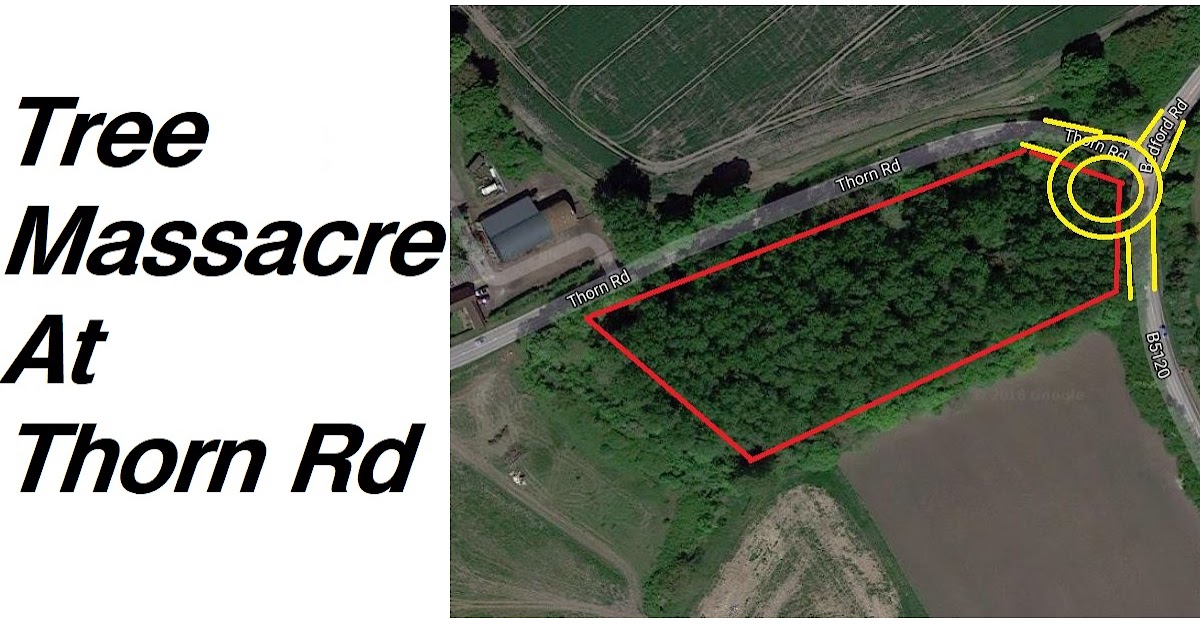 Houghton Regis Notes Houghton Regis Massacre of Bidwell Spinney