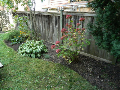 Riverdale backyard fall cleanup after by Paul Jung Gardening Services Toronto Riverdale backyard fall cleanup after by Paul Jung Gardening Services Toronto