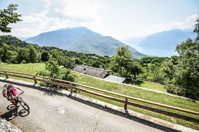 Aussicht auf den Gardasee