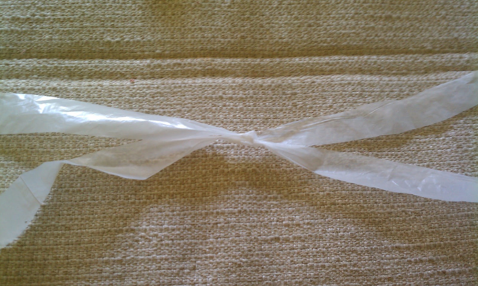 Totaleigh Me Making a Purse or Tote Out of Plastic Grocery Bags