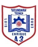 Escuela Secundaria Técnica 43