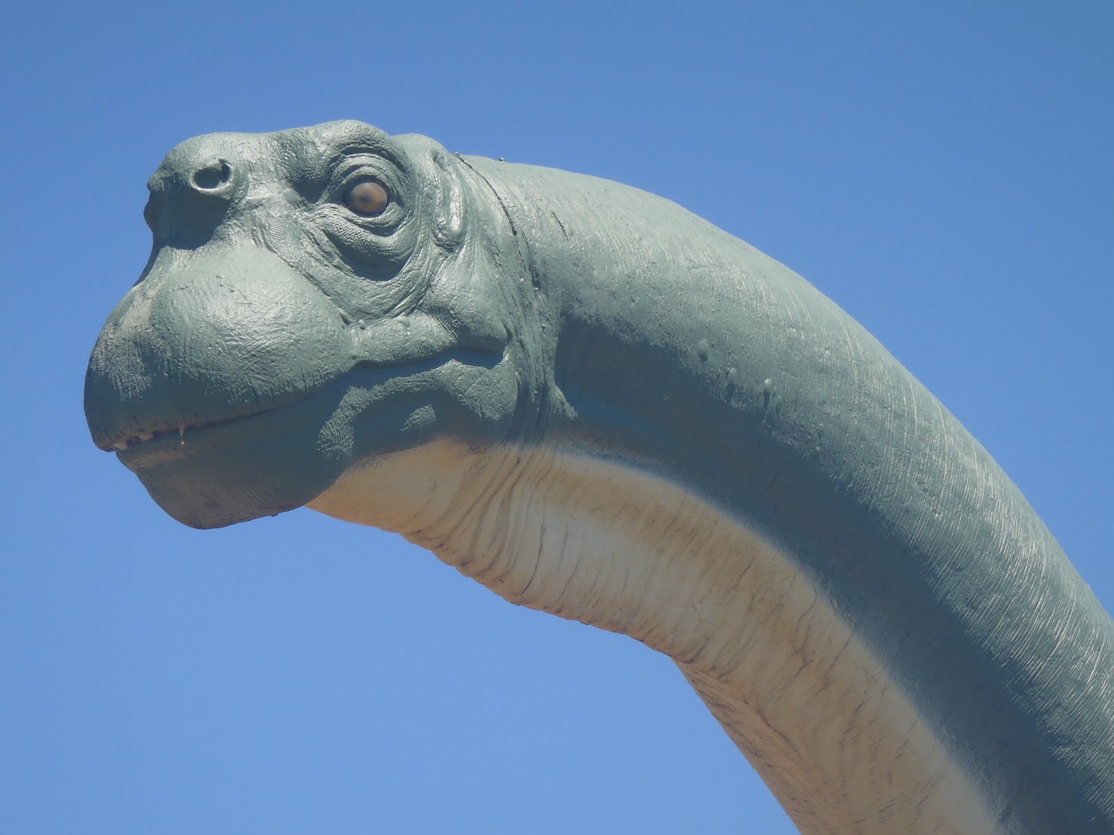 Диплодок пасть. Хищный динозавр с гребнем на голове. Динозавр с ушами. У него одна ноздря на голове динозавр. Ноздри динозавра.