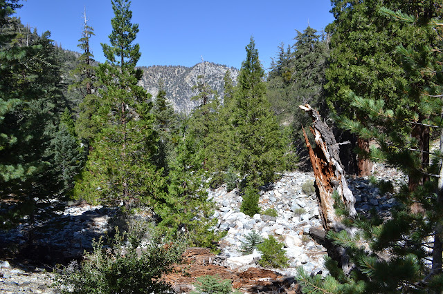 peaks up a canyon
