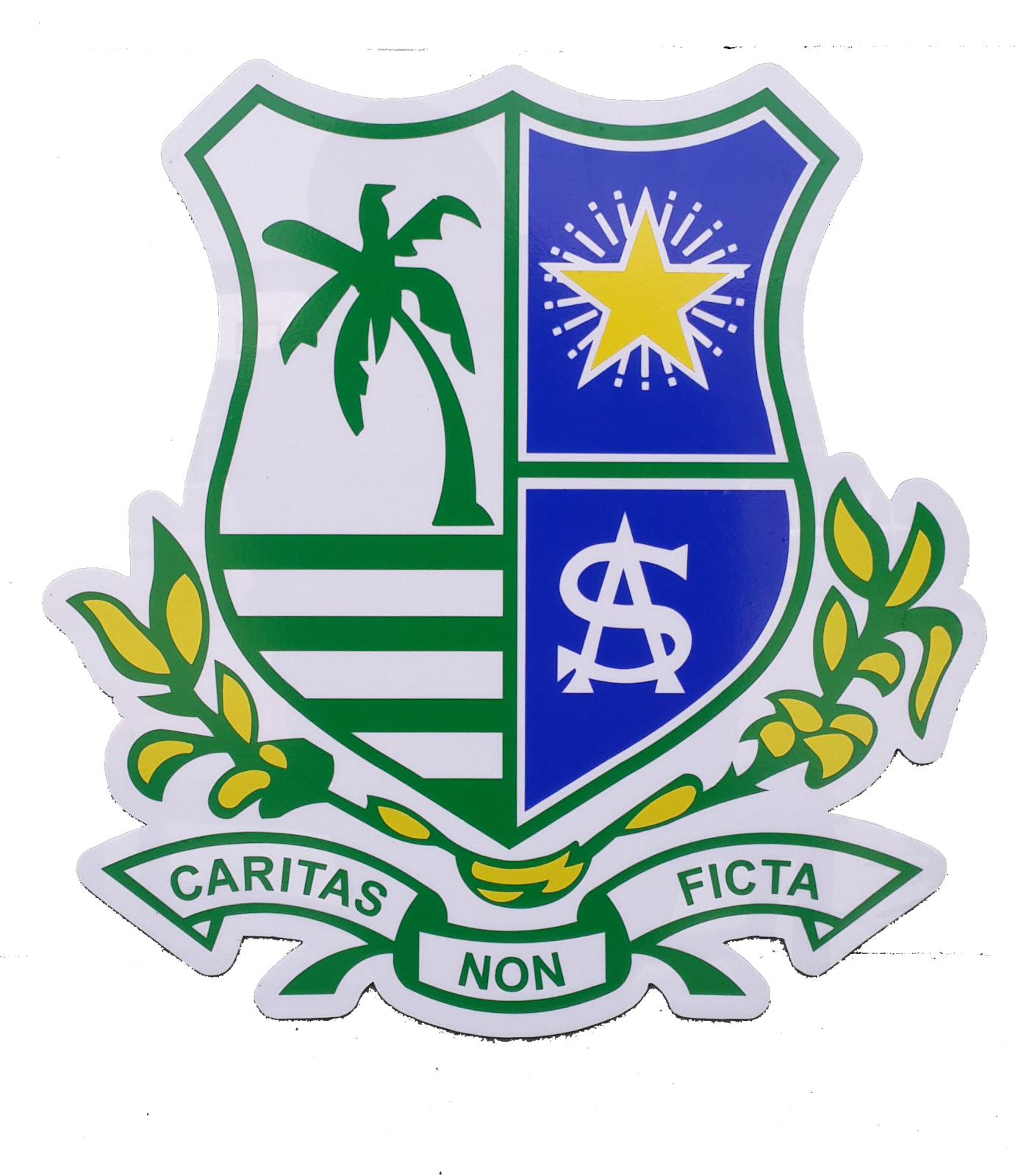 MEANING OF SCHOOL BADGE