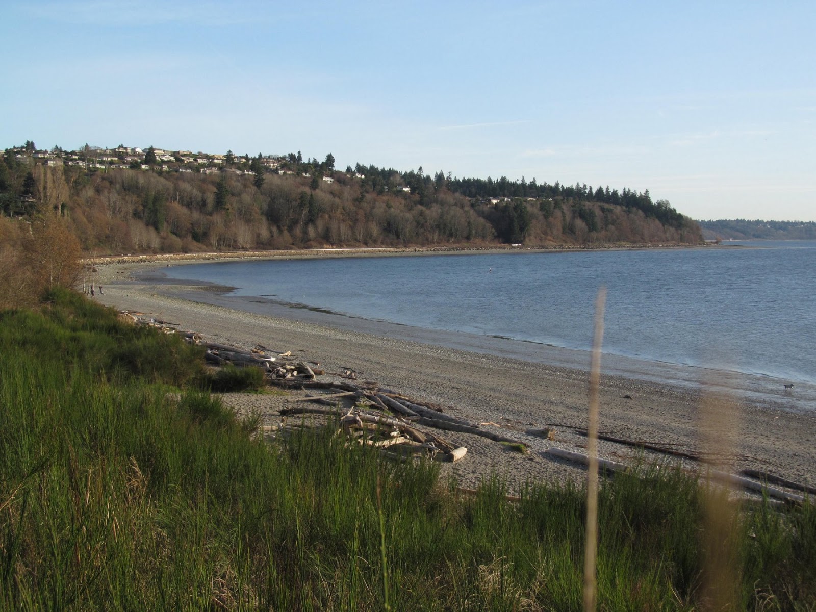 hshipman Richmond Beach