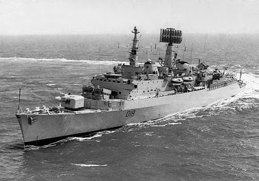 Rosa Mountbatten Novembre 2016