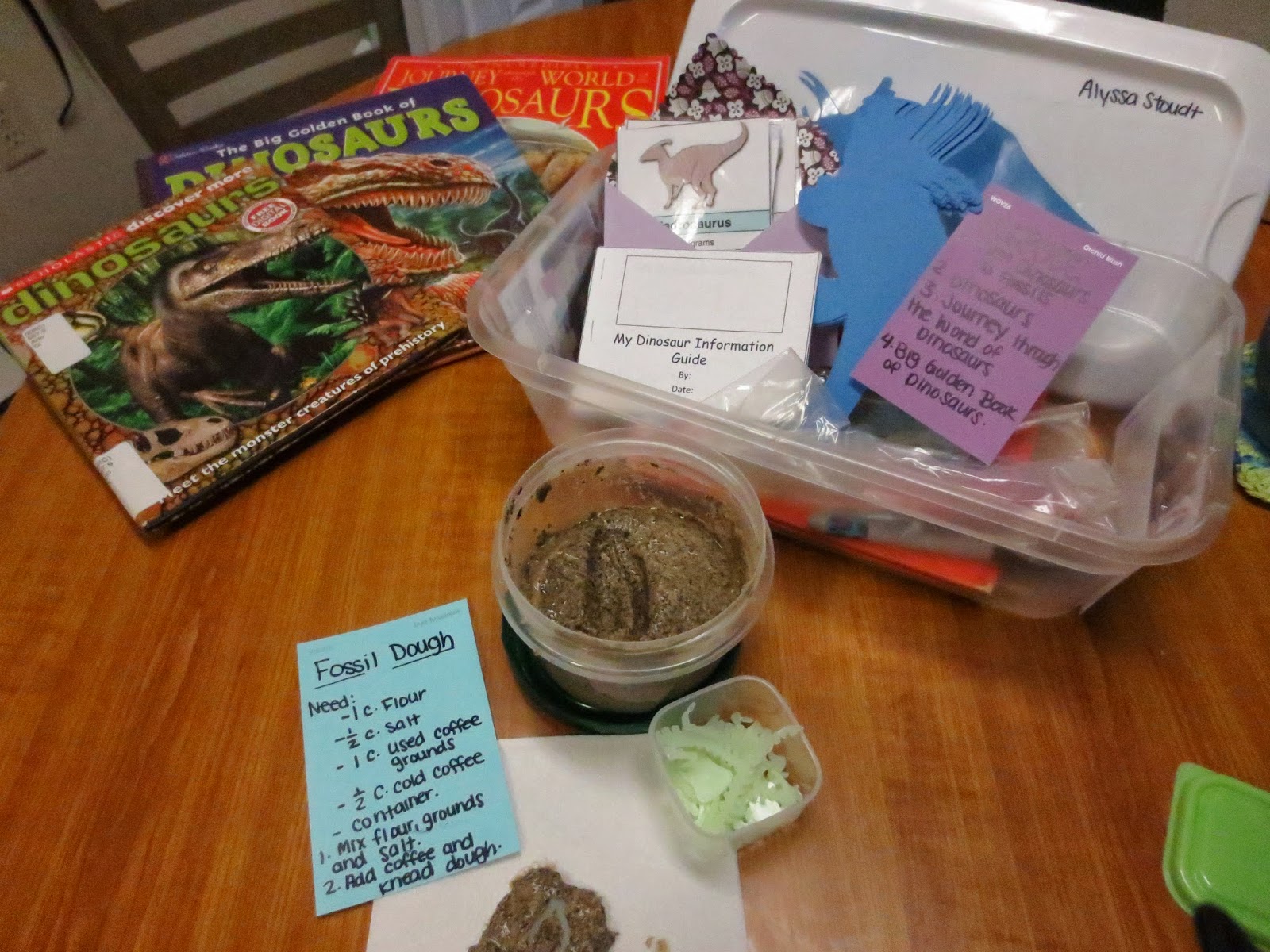 Science Blog : Dinosaur Investigation Box