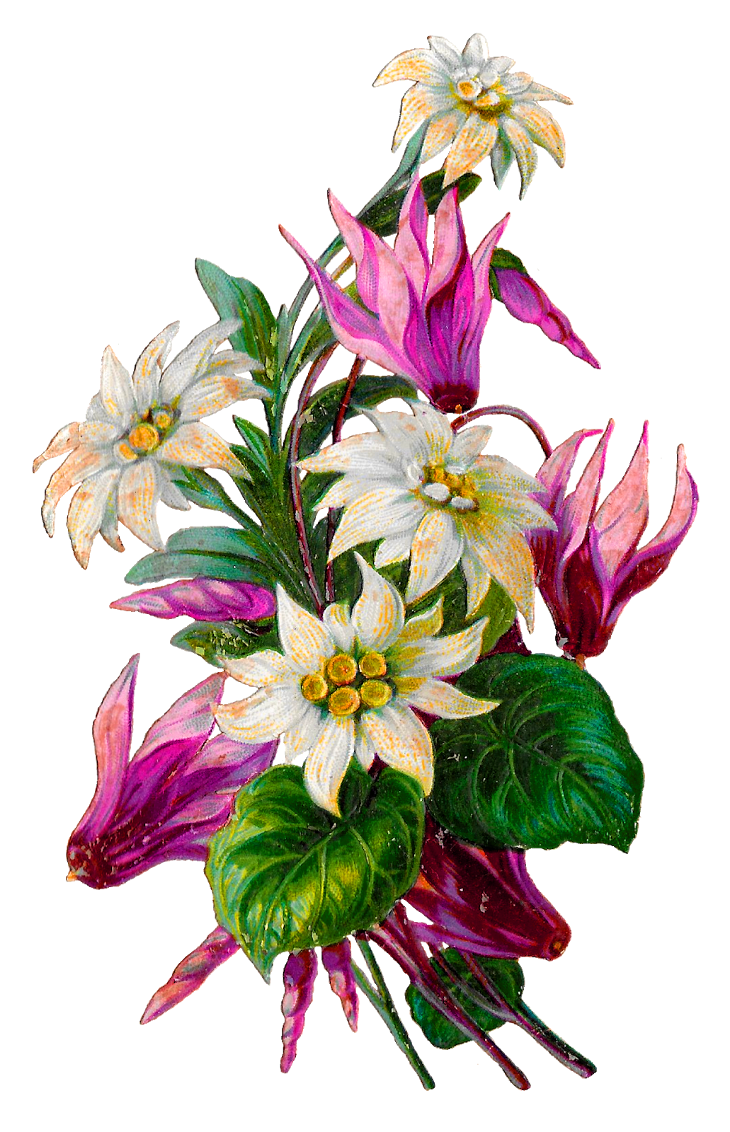 The Graphics Monarch Vintage Flower Clip Art Royalty Free Floral The Graphics Monarch Vintage Flower Clip Art Royalty Free Floral
