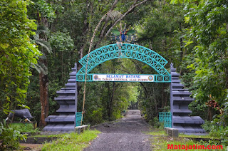 misteri alas purwo 2122 misteri alas purwo 2122