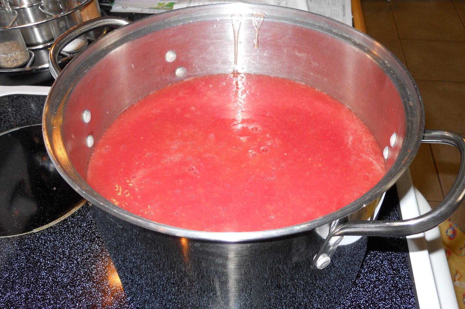 Home Garden Victorio Model 250 Food Strainer Review