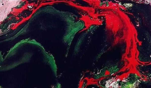 H.H.第三世多杰羌佛 現代畫欣賞 《聖曇花》 H.H.第三世多杰羌佛 現代畫欣賞 《聖曇花》